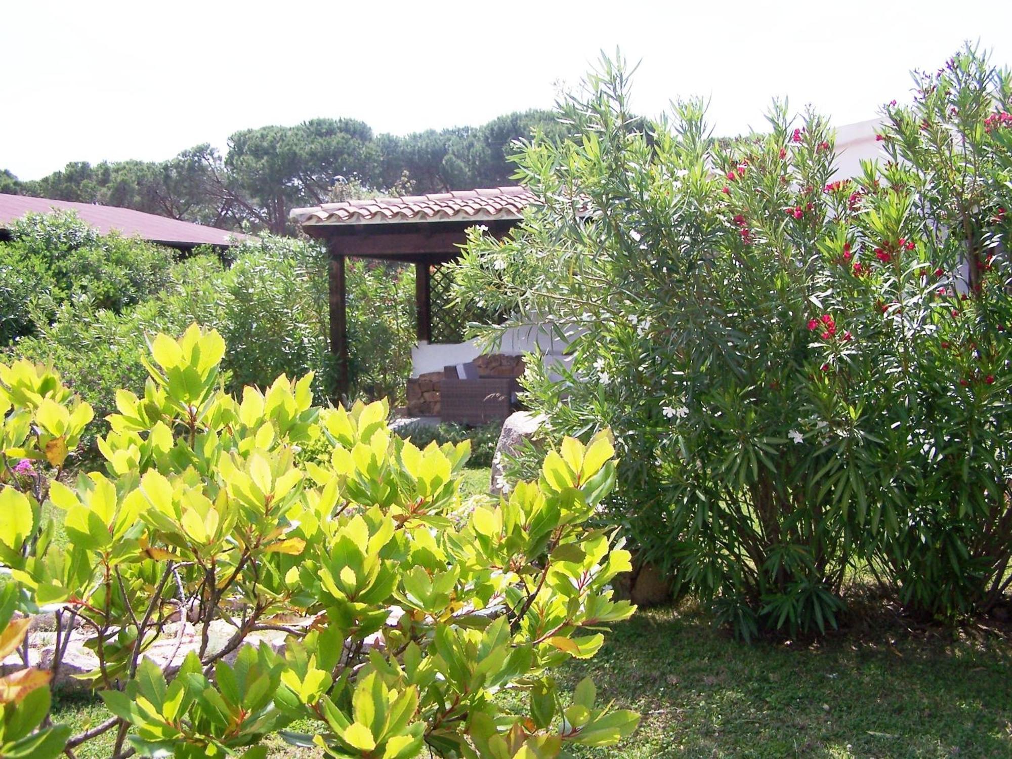 Hotel Club Ragno D'Oro Olbia Tempio Exterior foto